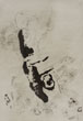 n2